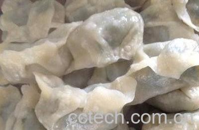  蒲公英素馅饺子怎么做 -1
