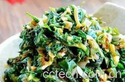 蒲公英食用价值-1