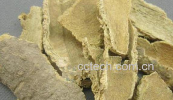 椿白皮的功效与作用及食用方法-0