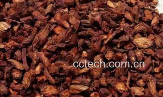 中药丹参的副作用和禁忌-0