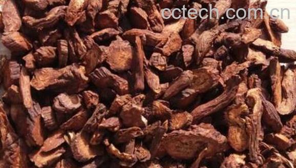 中药丹参的副作用和禁忌-1