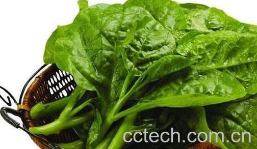 中药落葵的功效与作用-0