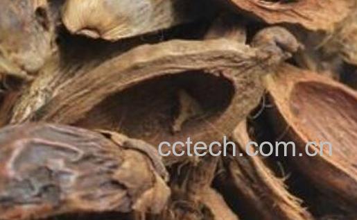 中药大腹皮的功效与作用 大腹皮的副作用-0