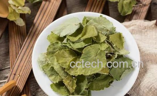 霪羊藿和枸杞子泡水喝的功效与作用-0