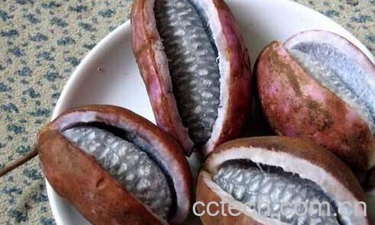 八月瓜籽的功效与作用-1