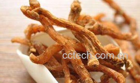 玉竹怎么吃 玉竹的食用方法-1