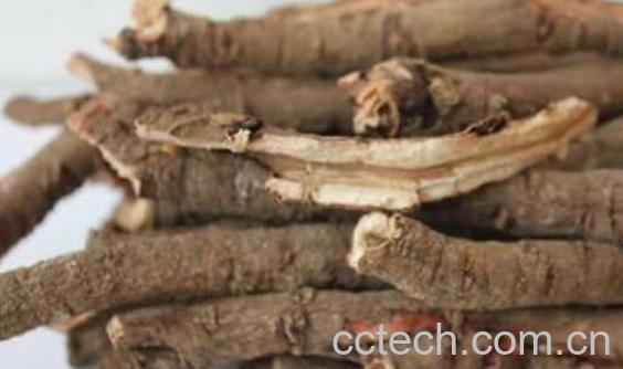 牡丹皮和陈皮的区别-0