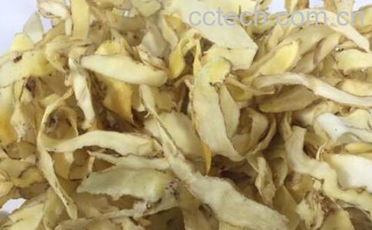 长期吃玉竹的副作用 什么病不能吃玉竹-1