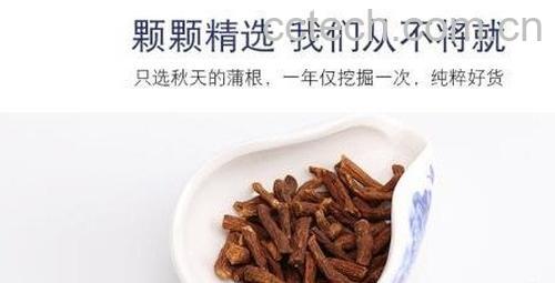 蒲公英根泡水喝的功效 -1