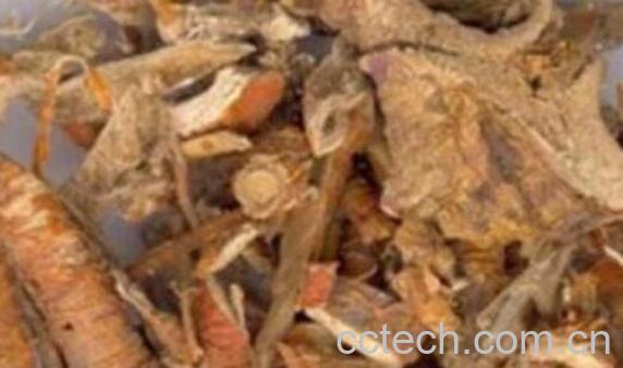 桑皮汁的功效与作用-1