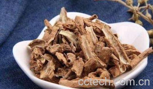 桑皮汁的功效与作用-0