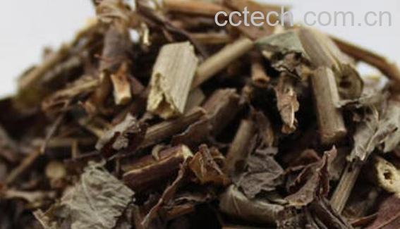 排草香的功效与作用-1