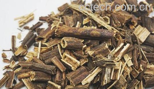 排草香的功效与作用-0