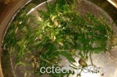 蒲公英煮水泡脚的功效-0