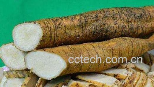 小牛力的功效与作用-0