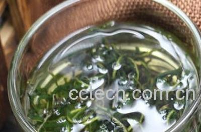 蒲公英泡水喝的禁忌-0