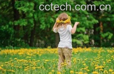 蒲公英的好处和坏处-1