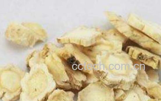 桔梗的功效与作用及禁忌-0