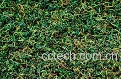 蒲公英对男性有好处吗-1