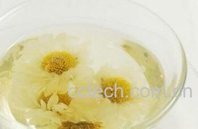  蒲公英怎么泡水喝-1