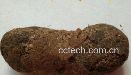 牛羊草结的功效与作用-0