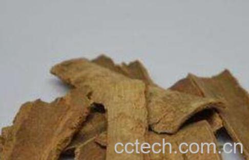 鸭脚木皮的功效与作用-0