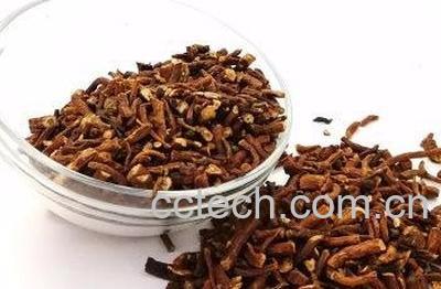 蒲公英根发酵制作方法-0