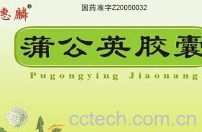  蒲公英胶囊的功效与作用-1
