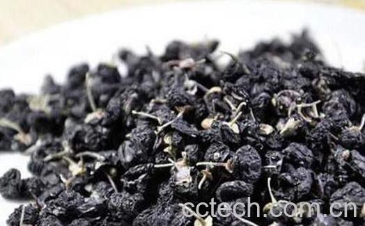 黑枸杞有什么功效 黑枸杞的功效与作用介绍-1