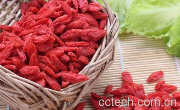 枸杞生吃的功效与作用-0