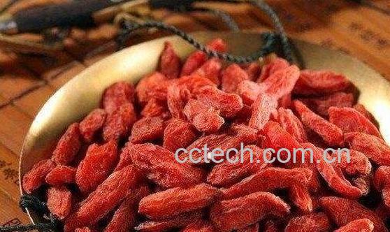 枸杞生吃的功效与作用-1