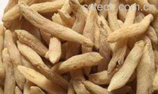 山麦冬和麦冬的区别-1