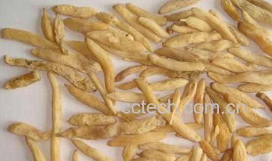 山麦冬和麦冬的区别-0