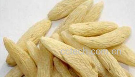 天麦冬的功效与作用 天麦冬怎么吃-1