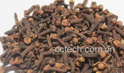 公丁香怎么吃 公丁香的食用方法-0