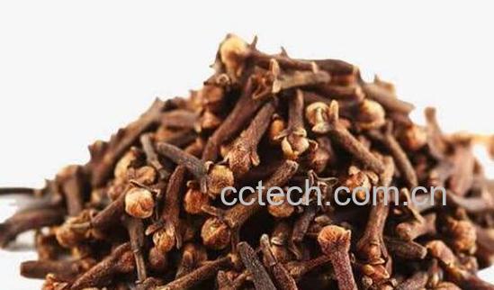 公丁香怎么吃 公丁香的食用方法-1