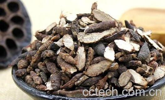 醋香附和炒香附的区别 香附的功效-0