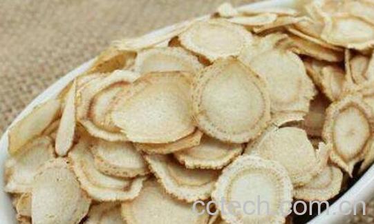 女性喝花旗参的好处 什么女人不能吃花旗参-1