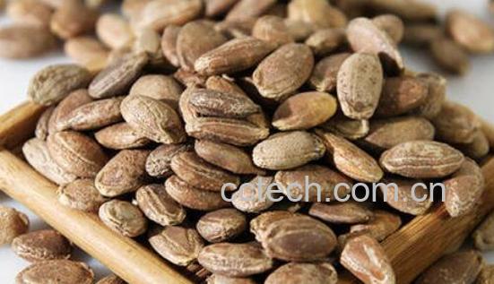 瓜蒌子功效与作用-0