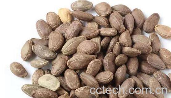 瓜蒌子功效与作用-1