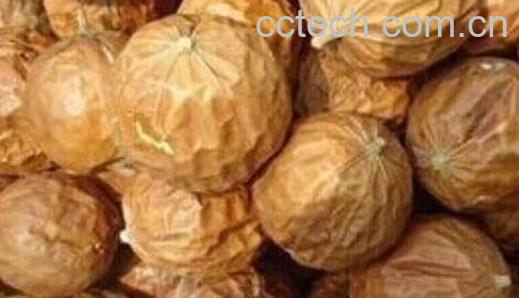 全瓜蒌的功效与作用-0