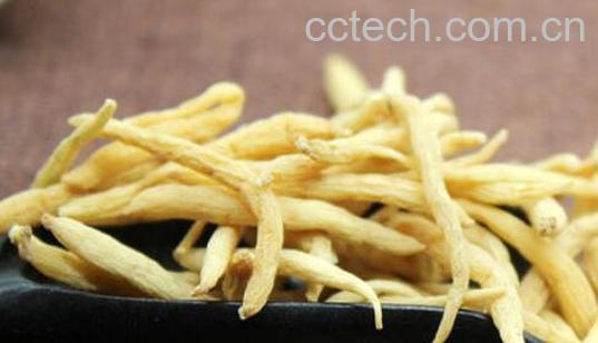 米参的功效与作用 米参的食用方法与禁忌-0