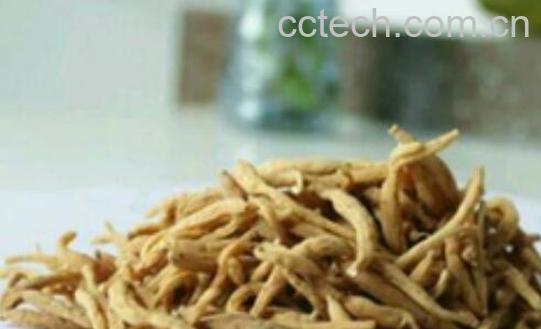 米参的功效与作用 米参的食用方法与禁忌-1