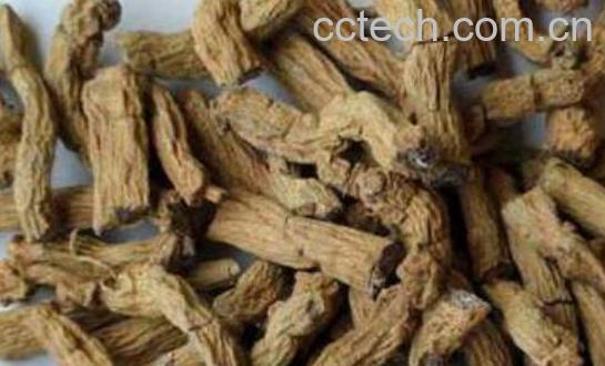 长期吃巴戟天的害处-1