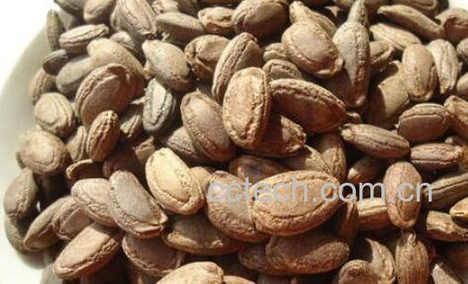 瓜蒌仁的功效与作用及药用价值-0