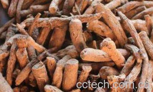 独脚仙茅的功效与作用-1