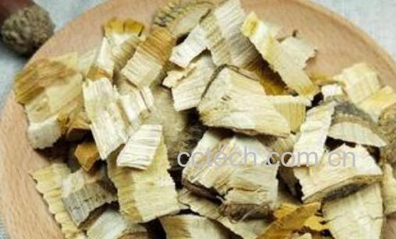 穿破石的功效与作用 穿破石的常见用法-1