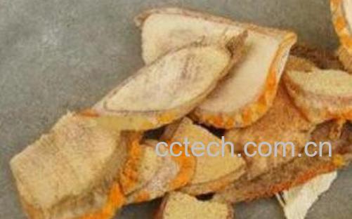 穿破石的功效与作用 穿破石的常见用法-0