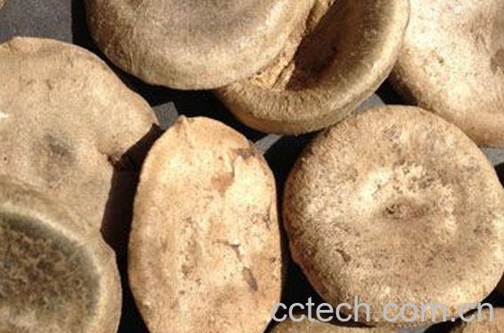 果蔬百科马钱子的副作用-0