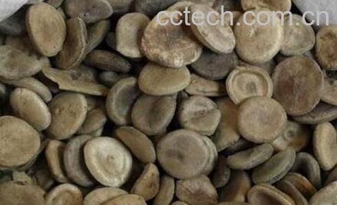 中药马钱子性味归经 功效作用及应用-0